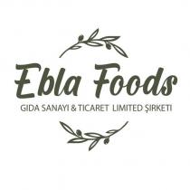 ebla foods gıda sanayi & ticaret limited şirketi