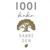 1001 binbir sabriden