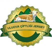 uluova çiftliği jersey