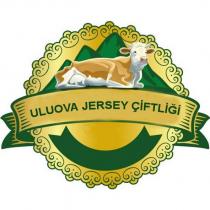 uluova jersey çiftliği