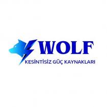 wolf kesintisiz güç kaynakları