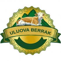 uluova berrak