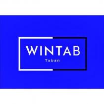 wintab taban