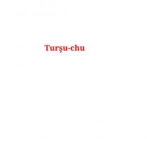turşu-chu