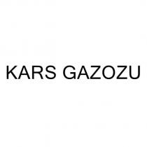 kars gazozu