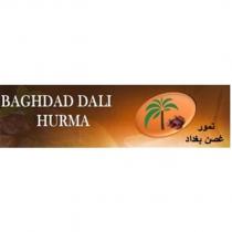 baghdad dalı hurma