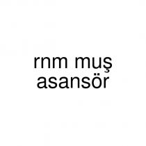 rnm muş asansör