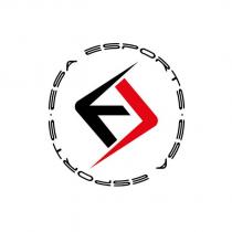 esa esports