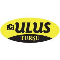 ç ulus turşu