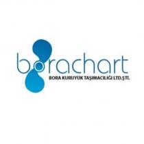 borachart bora kuruyük taşımacılığı ltd. şti.