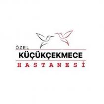özel küçükçekmece hastanesi