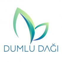 dumlu dağı