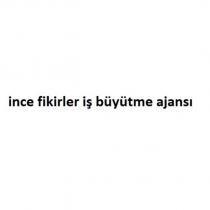 ince fikirler iş büyütme ajansı