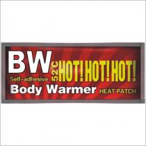 bw body warmer hot! hot! hot! heat patch