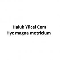 haluk yücel cem hyc magna motricium
