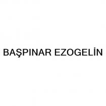 başpınar ezogelin