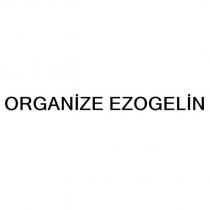 organize ezogelin