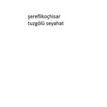 şereflikoçhisar tuzgölü seyahat