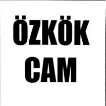 özkök cam