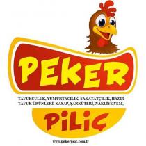 peker piliç, tavukçuluk, yumurtacılık, sakatatçılık, hazır tavuk ürünleri, kasap, şarküteri, nakliye, yem, www.pekerpilic.com.tr