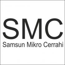 smc samsun mikro cerrahi