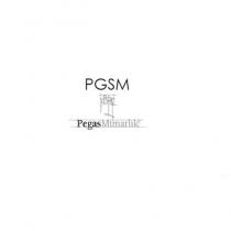 pgsm pegasmimarlık
