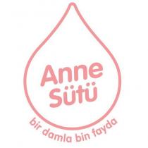 anne sütü bir damla bin fayda