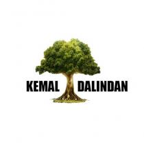kemal dalından