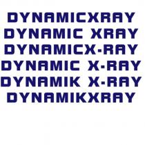 dynamicxray dynamic xray dynamicx-ray dynamic x-ray dynamik x-ray dynamikx-ray