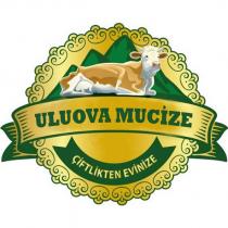 uluova mucize çiftlikten evinize