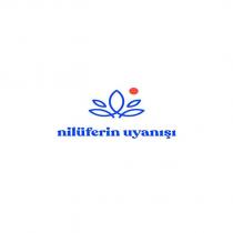 nilüferin uyanışı