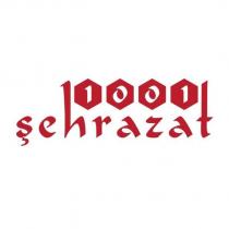1001 şehrazat