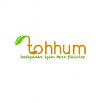 tohhum bahçeniz için taze fikirler
