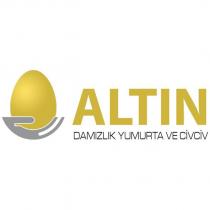 altın damızlık yumurta ve civciv