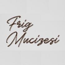 frig mucizesi