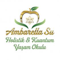 ambarella su holistik & kuantum yaşam okulu