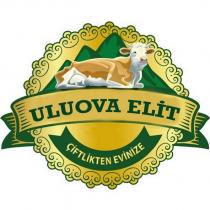 uluova elit çiftlikten evinize