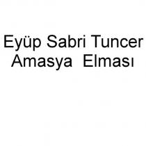 eyüp sabri tuncer amasya elması