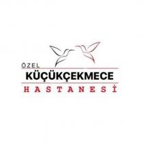 özel küçükçekmece hastanesi