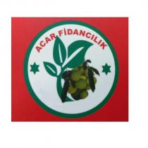 acar fidancılık