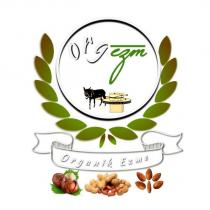 orgezm organik ezme