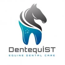 dentequist equine dental care