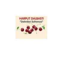 harput dalbastı 