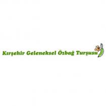 kırşehir geleneksel özbağ turşusu