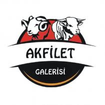 akfilet galerisi