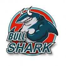 bull shark