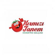 kırmızı tanem domates salçası