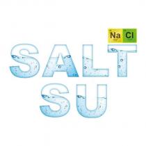 salt su
