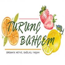 turunç bahçem organik meyve sağlıklı yaşam