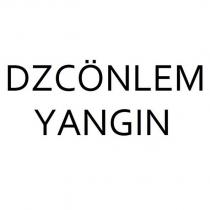 dzcönlem yangın